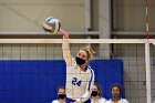 Volleyball vs RWU  Wheaton Women’s Volleyball vs Roger Williams University. : Volleyball, VB